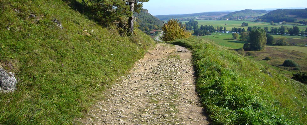 Bodendenkmal Weg zur Burg Kallmünz - 